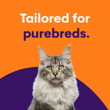 Cargar imagen en el visor de la galería, Purebred Cat Full Breed Profile

