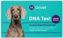 Cargar imagen en el visor de la galería, Purebred Dog Full Breed Profile
