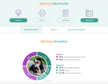 Cargar imagen en el visor de la galería, Geno Pet Dog Breed Identification DNA test
